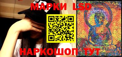 крисы Бердск