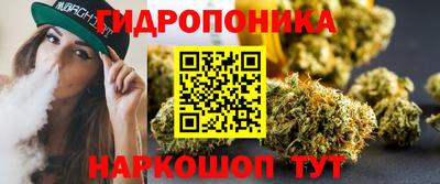 крисы Бердск