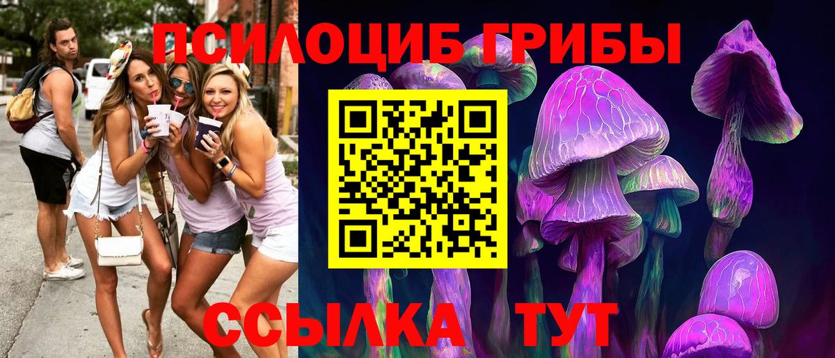Галлюциногенные грибы Psilocybe  Вход с VPN  Урус-Мартан 