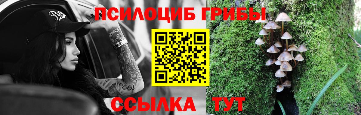 Псилоцибиновые грибы прущие грибы Урус-Мартан